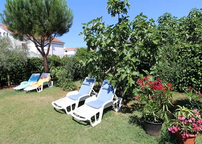 Guest house Miro Vantacici